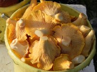 Ust-Koksa to Barnaul (03.08.2013)